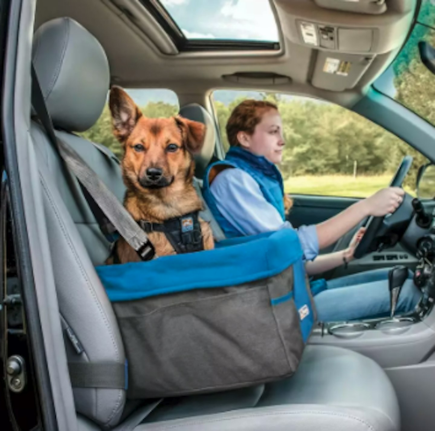 Travelin dog outlet booster seat